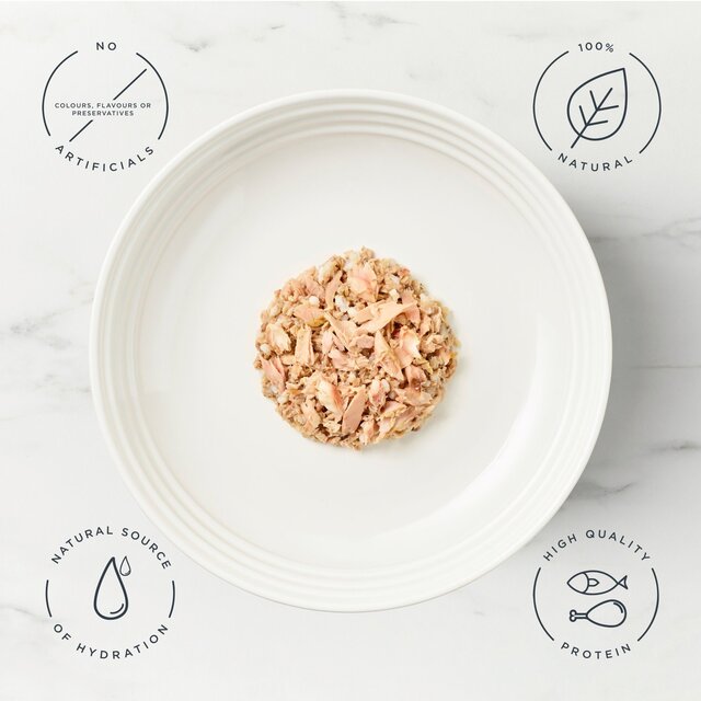 Encore Cat Fish Selection thumbnail 2