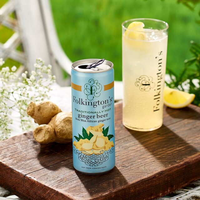 Folkington's Ginger Beer thumbnail 2
