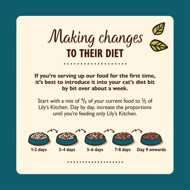 Lily's Kitchen Shredded Fillets Tuna & Salmon in Broth Wet Food for Cats thumbnail 3