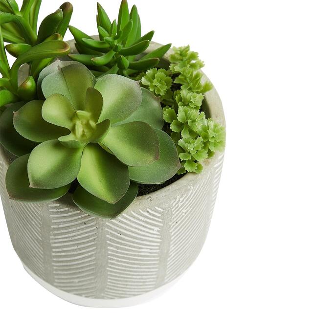 M&S Artificial Succulent Garden, Green thumbnail 2