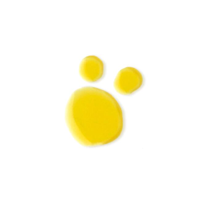 Evolve Beauty Bio-Retinol + C Booster thumbnail 2