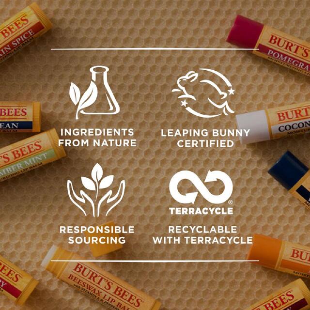 Burt's Bees 100% Natural Moisturising Lip Balm, Original Beeswax & Honey thumbnail 6