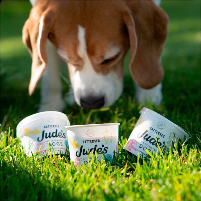 Jude's Ice Cream for Dogs thumbnail 2