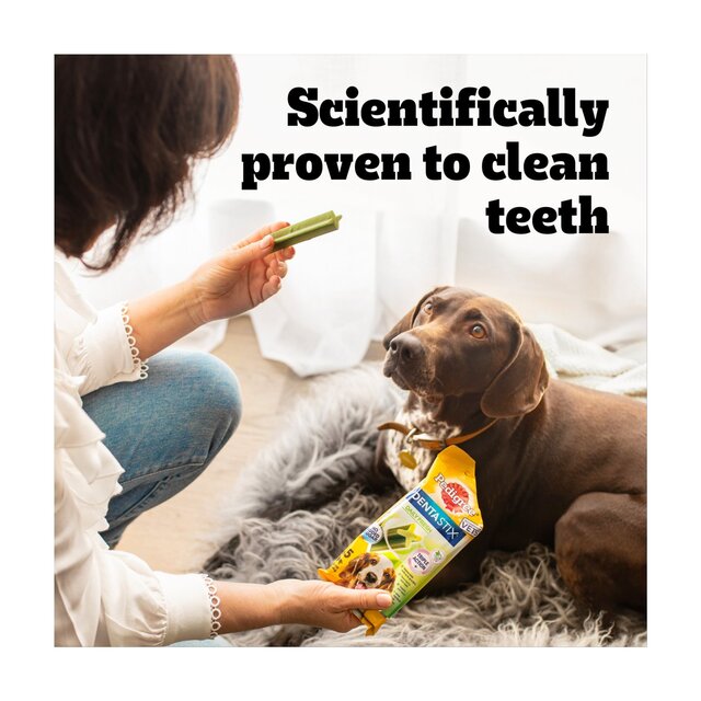 Pedigree Dentastix Fresh Daily Dental Chews Large Dog thumbnail 3