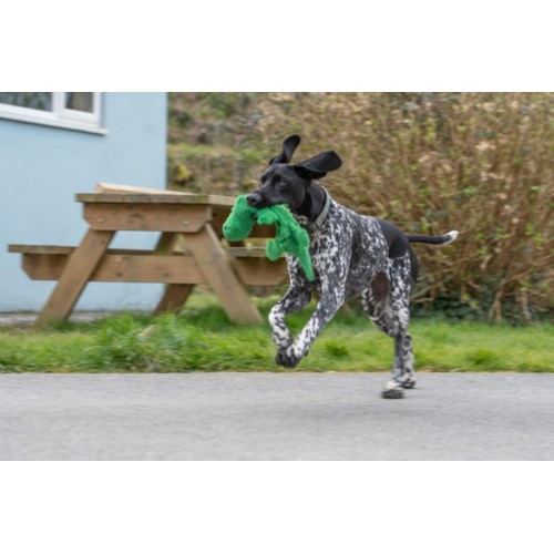 Petface Planet Crocodile Dog Toy thumbnail 5