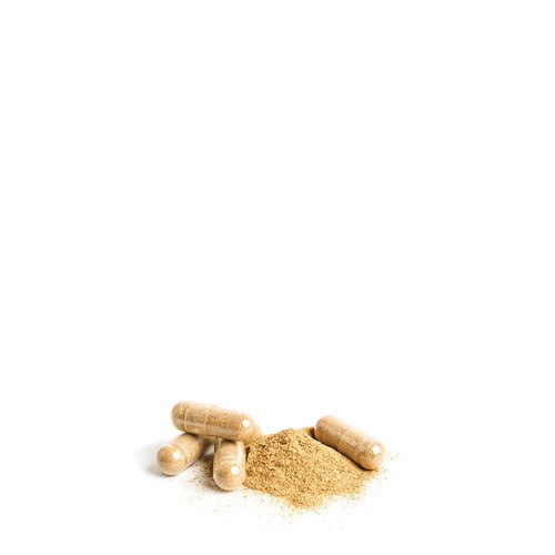 Daylesford Herbal Organic 8 Mushroom Extract Supplement Capsules thumbnail 2