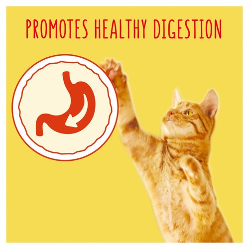 Go-Cat Chicken and Duck Dry Cat Food thumbnail 8
