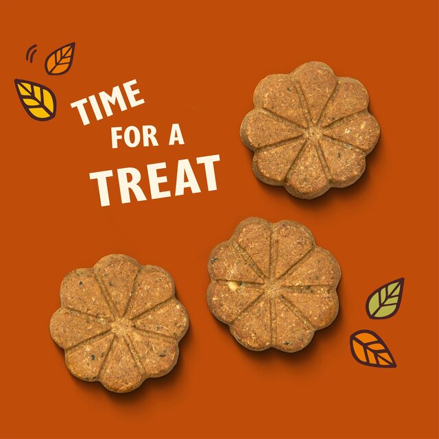 Lily's Kitchen Breaktime Biscuits for Dogs thumbnail 2