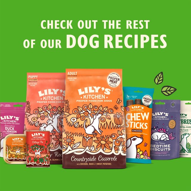 Lily's Kitchen Bedtime Biscuits for Dogs thumbnail 5