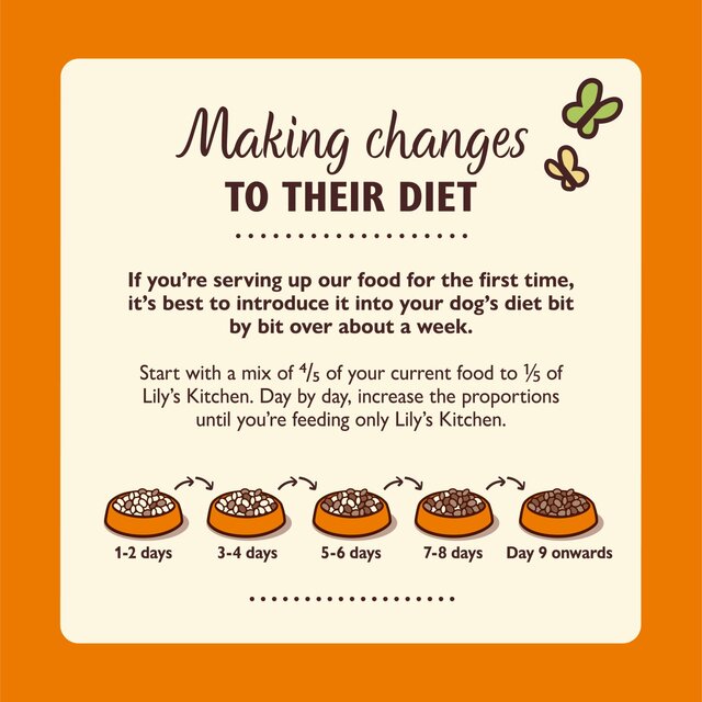 Lily's Kitchen Lean Machine Tray for Dogs thumbnail 3