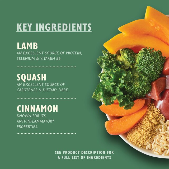 Lily's Kitchen Lamb Tagine Tray for Dogs thumbnail 4