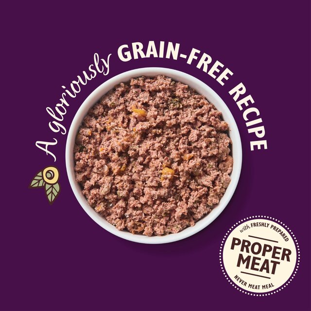 Lily's Kitchen Coronation Chicken Tray for Dogs thumbnail 4