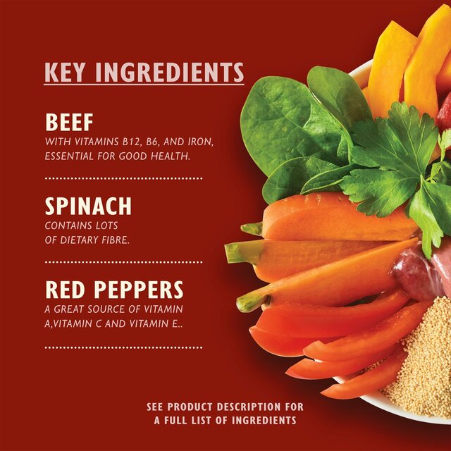 Lily's Kitchen Beef Goulash Tray for Dogs thumbnail 2