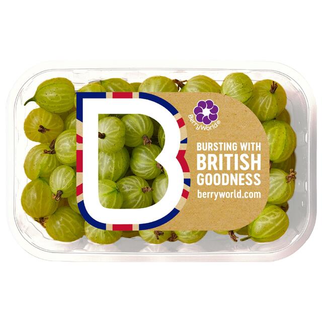 Berryworld Cooking Gooseberries