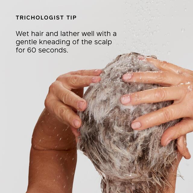 Philip Kingsley Pure Blonde/Silver Daily Shampoo thumbnail 4