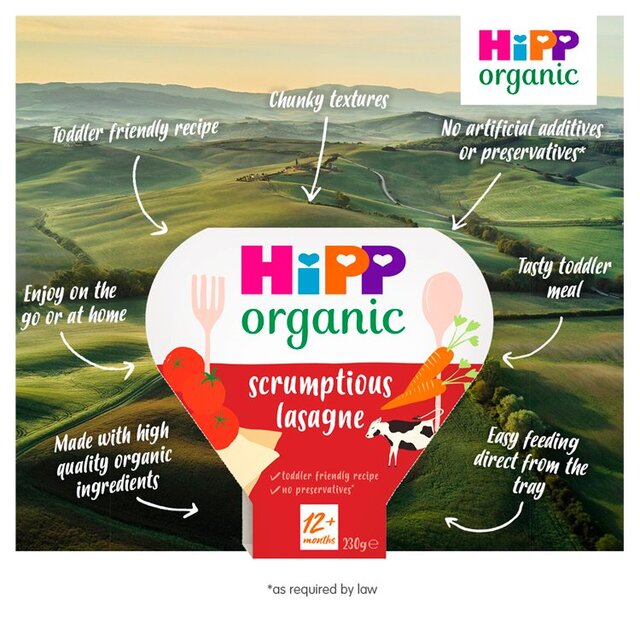 HiPP Organic Scrumptious Lasagne Toddler Tray Meal 12+ Months thumbnail 5
