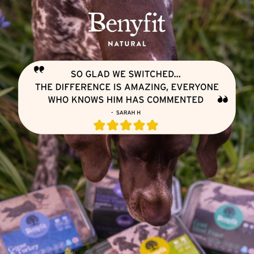 Benyfit Natural Tasty Turkey Complete Raw Dog Food thumbnail 6