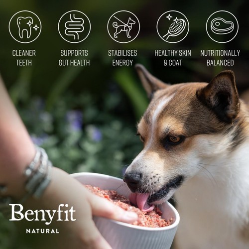 Benyfit Natural Chicken Complete Raw Dog Food thumbnail 3