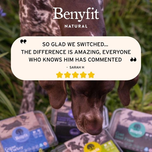 Benyfit Natural Beef & Tripe Complete Raw Dog Food thumbnail 6