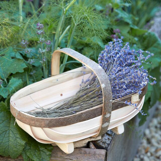 Daylesford Diffuser Lavender Gift Set thumbnail 2