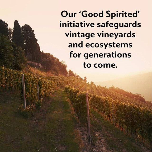 Martini Floreale Non Alcoholic Vermouth Aperitivo thumbnail 5