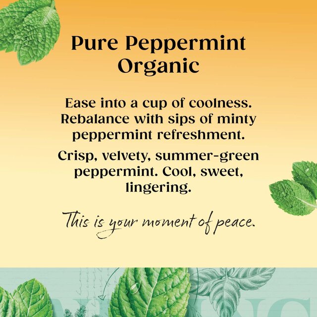 Twinings Organic Peppermint Tea thumbnail 4
