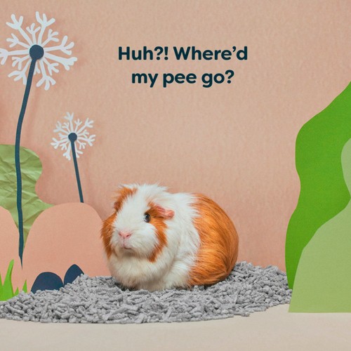 Back 2 Nature Small Animal Paper Bedding/Litter thumbnail 2