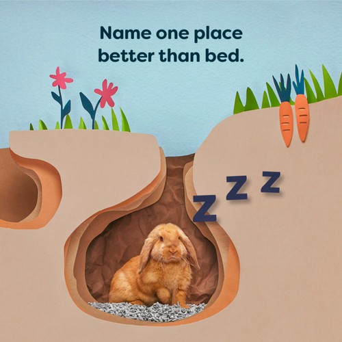 Back 2 Nature Small Animal Paper Bedding/Litter thumbnail 5