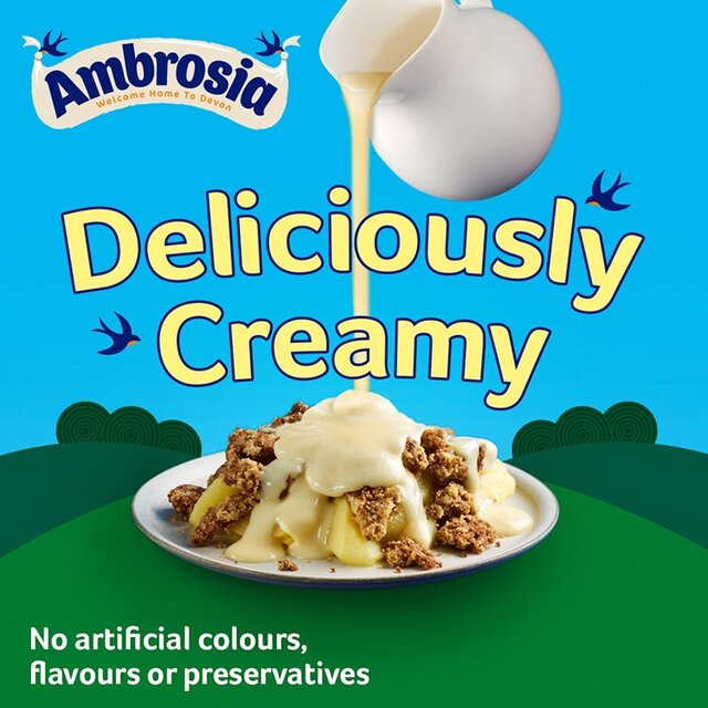 Ambrosia Devon Custard thumbnail 8