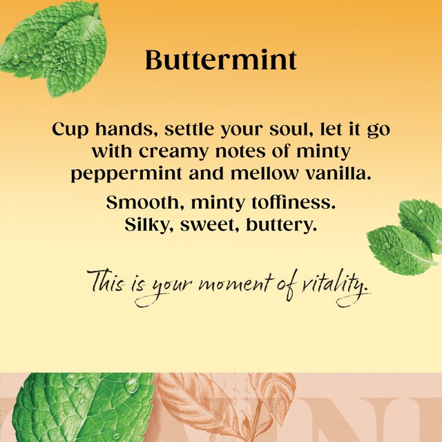 Twinings Buttermint Herbal Tea thumbnail 4