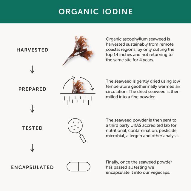 Together Health Iodine - Organc Seaweed Source, 1 Month Supply thumbnail 5