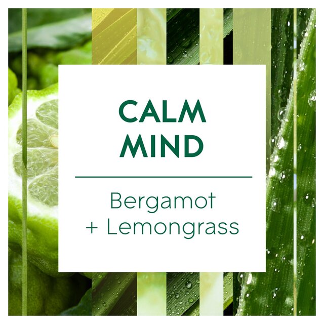 Glade Aromatherapy Mist Diffuser Refill Calm Mind thumbnail 5