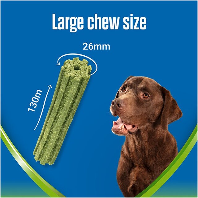 Dentalife ActivFresh Large Dental Chicken Dog Chews thumbnail 4