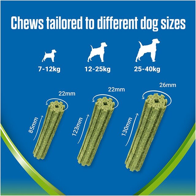 Dentalife ActivFresh Large Dental Chicken Dog Chews thumbnail 5