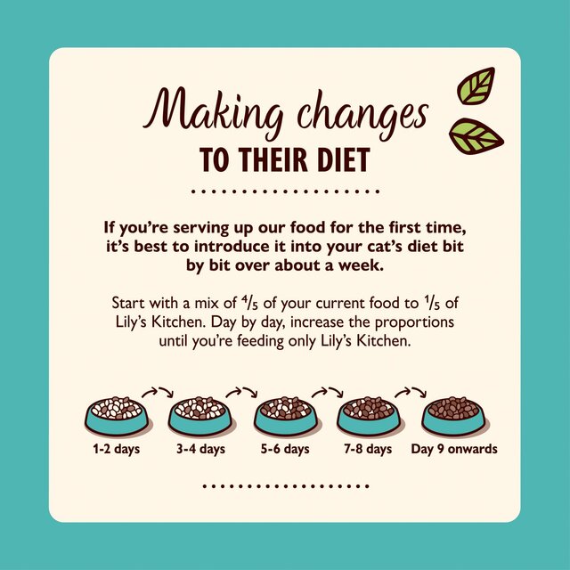 Lily's Kitchen Chicken & Ocean Fish Tasty Cuts in Gravy for Kittens thumbnail 3