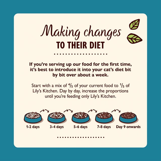 Lily's Kitchen Chicken & Fish Tasty Cuts in Gravy for Mature Cats thumbnail 5