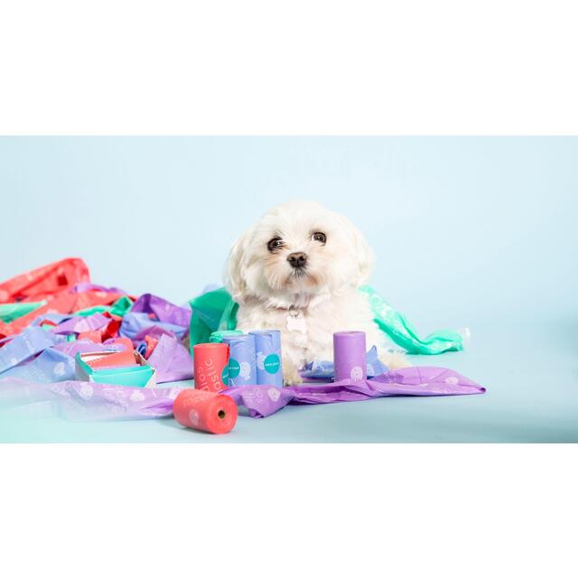 Adios Compostable Dog Poo Bags - Rainbow thumbnail 8