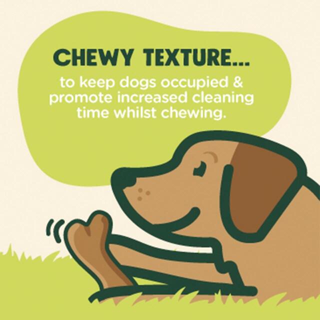 Good Boy Chompers Daily Dental Bone Chew Dog Treat thumbnail 6