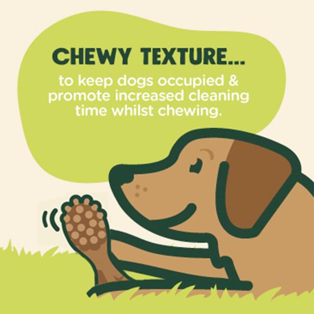 Good Boy Chompers Large Daily Dental Toothbrush Chew Dog Treat thumbnail 6