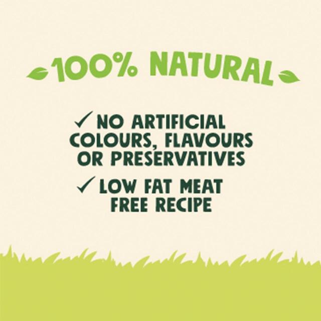 Good Boy Chompers Daily Dental Dino Chew Dog Treat thumbnail 3