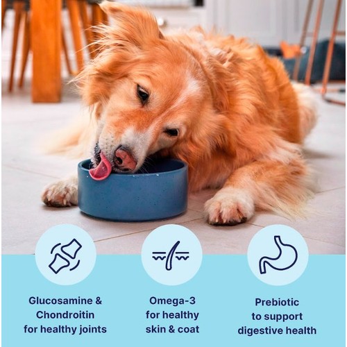 Tails.com Inner Vitality Medium & Large Adult Dog Dry Food Chicken thumbnail 3