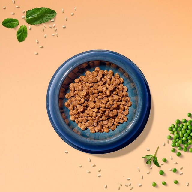 Tails.com Inner Vitality Toy & Small Adult Dog Dry Food Chicken thumbnail 4