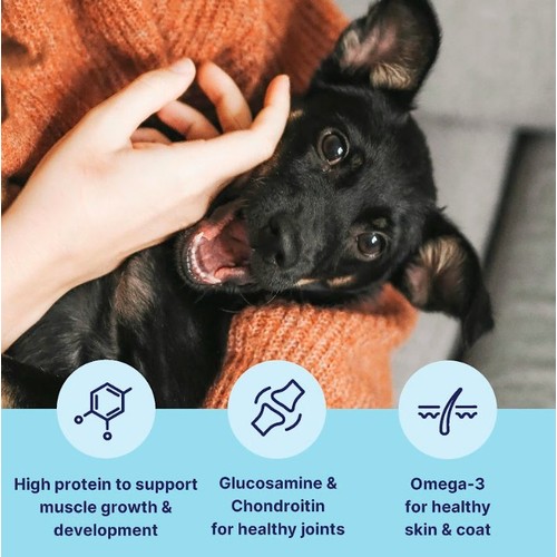 Tails.com Inner Vitality Medium & Large Puppy Dog Dry Food Chicken thumbnail 2