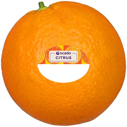 Ocado Orange thumbnail 2