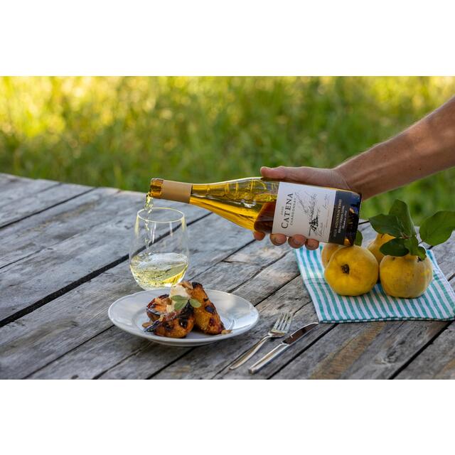 Catena Chardonnay thumbnail 2