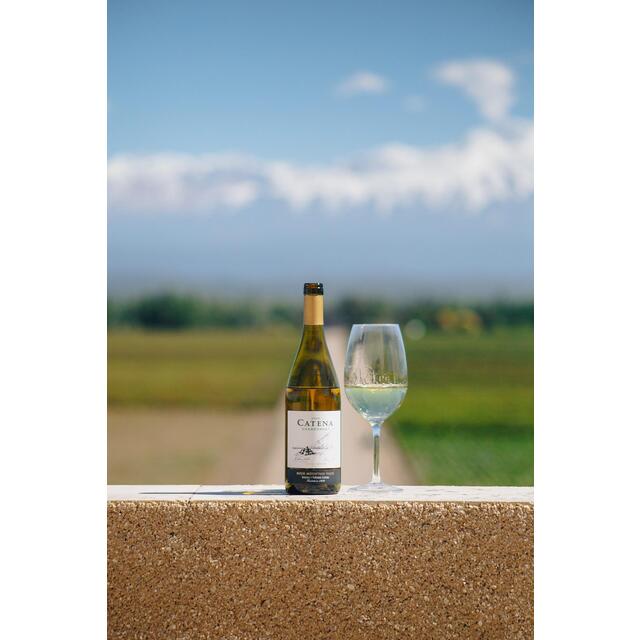 Catena Chardonnay thumbnail 3