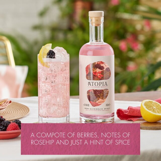 Atopia Hedgerow Berry Non Alcoholic Spirit thumbnail 3