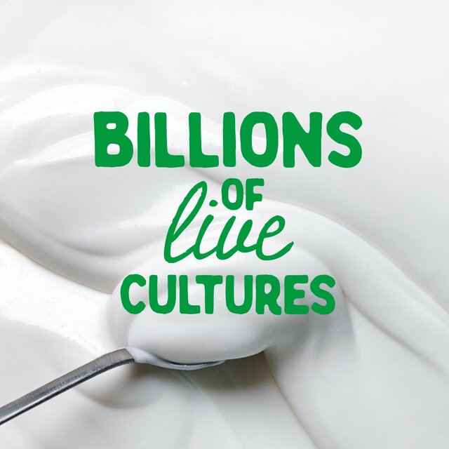 The Coconut Collab Gut Health Coconut Yoghurt thumbnail 5