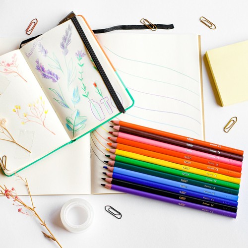 BIC Intensity Colouring Pencils, Wallet of 24 thumbnail 3