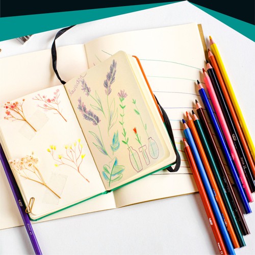 BIC Intensity Colouring Pencils, Wallet of 24 thumbnail 6